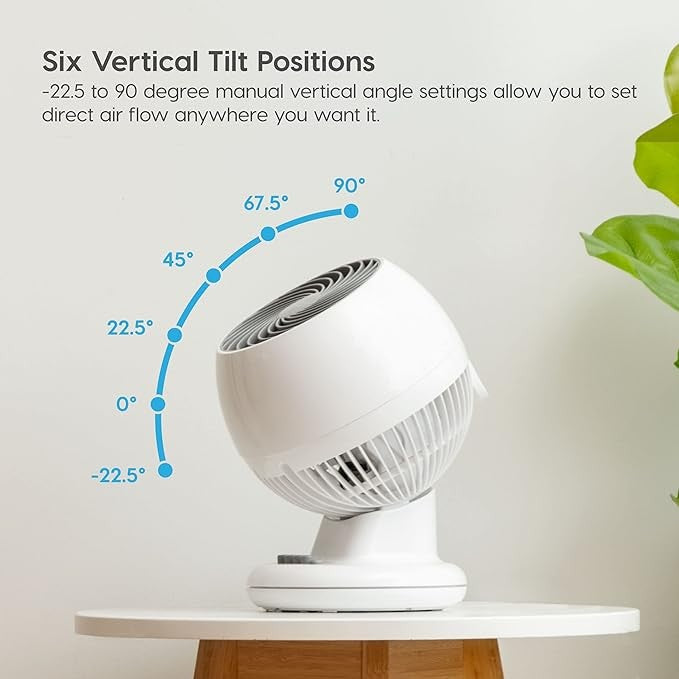 Small swing head circulating fan